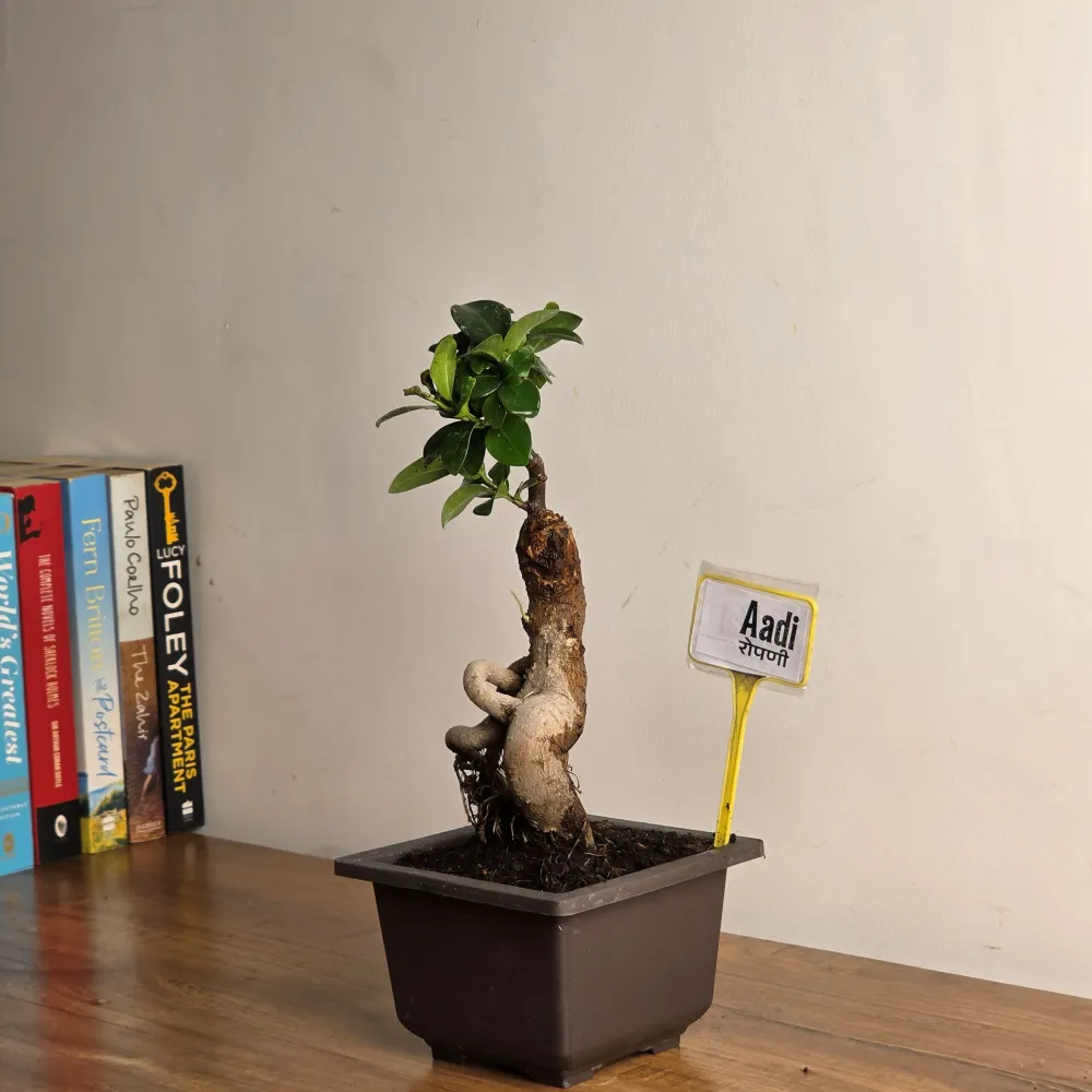 product-gallery