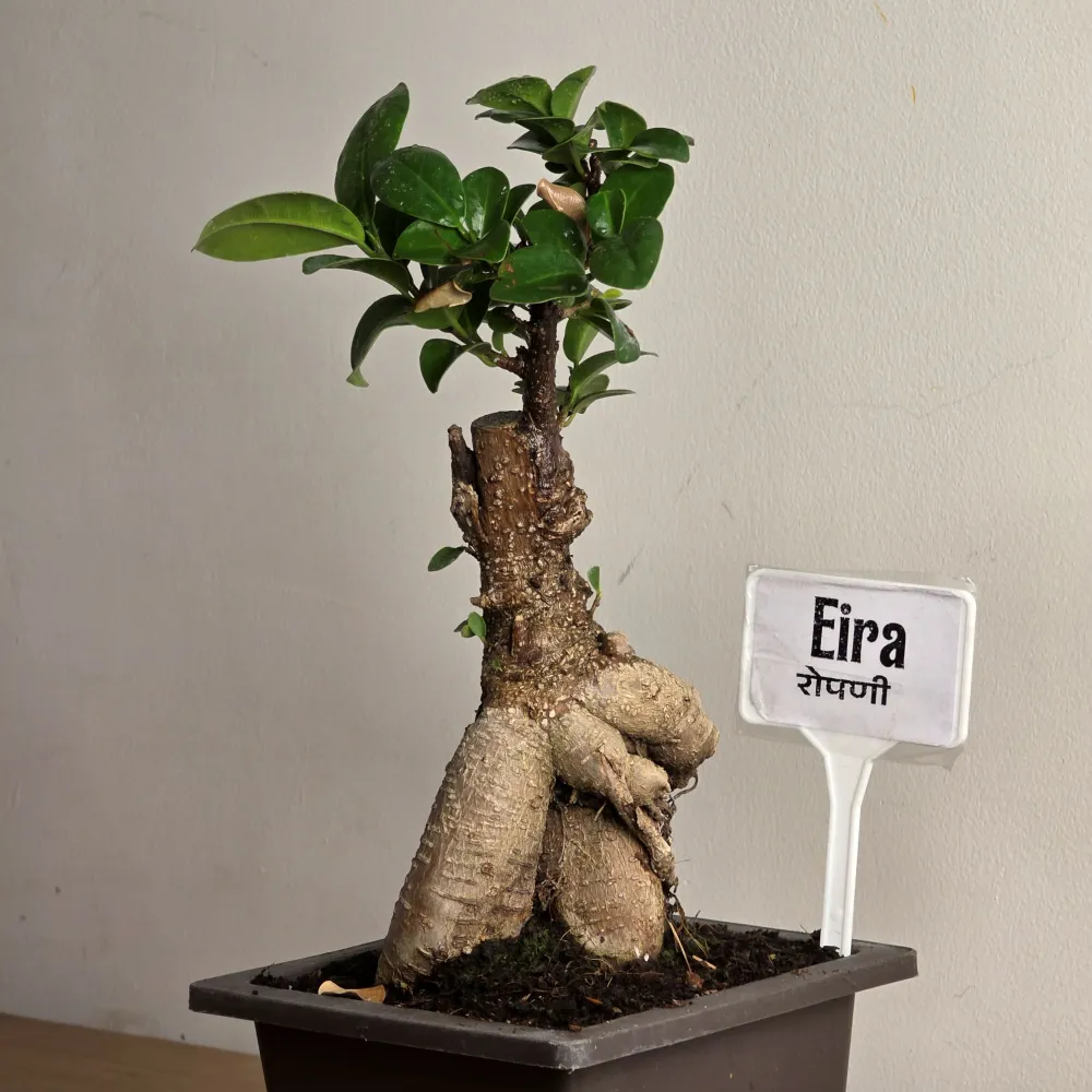 product-gallery
