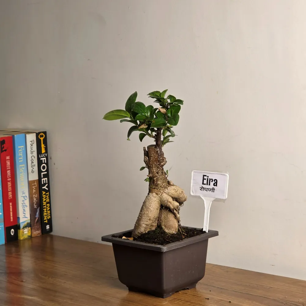 product-gallery