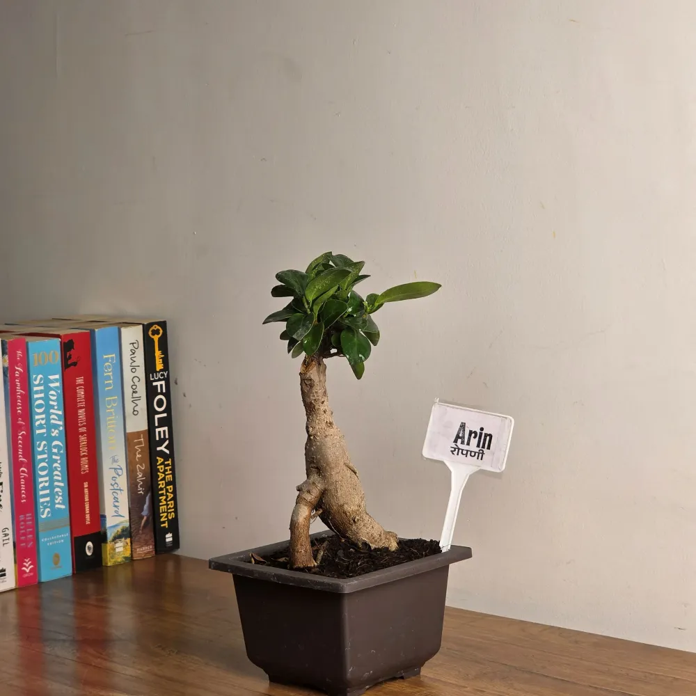 product-gallery
