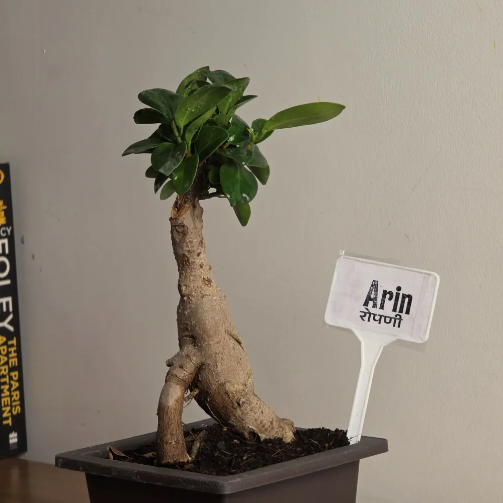 product-gallery