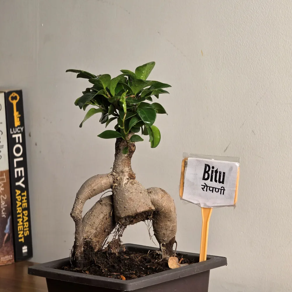 product-gallery