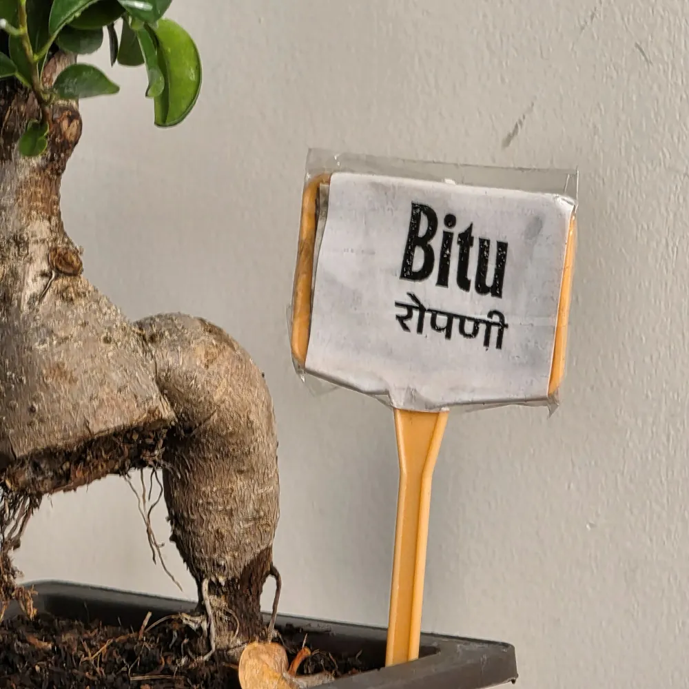 product-gallery