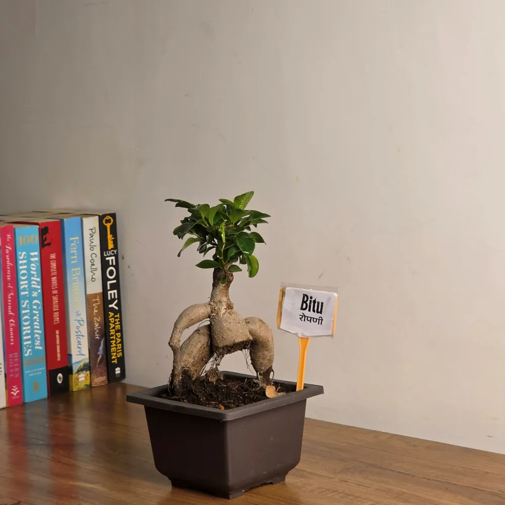 product-gallery