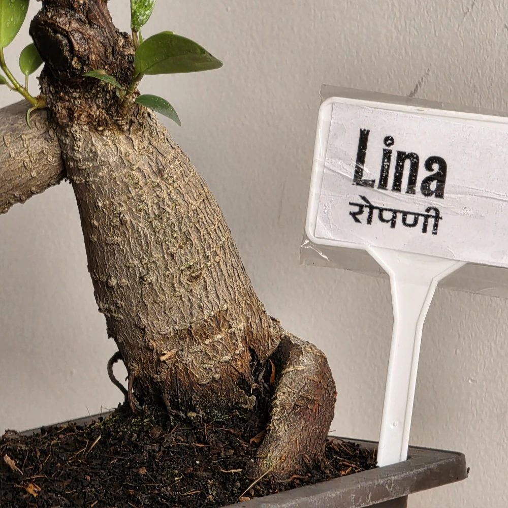 product-gallery