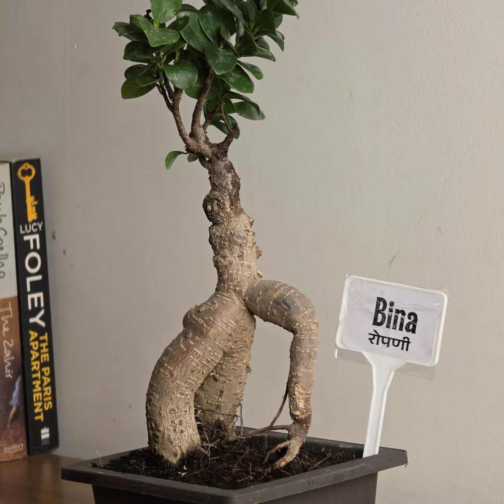 product-gallery