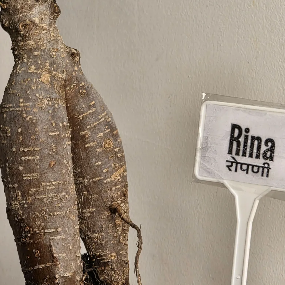 product-gallery