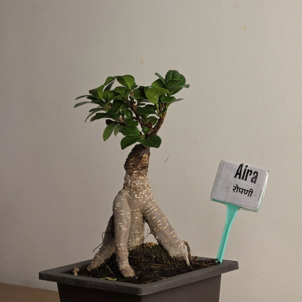 product-gallery