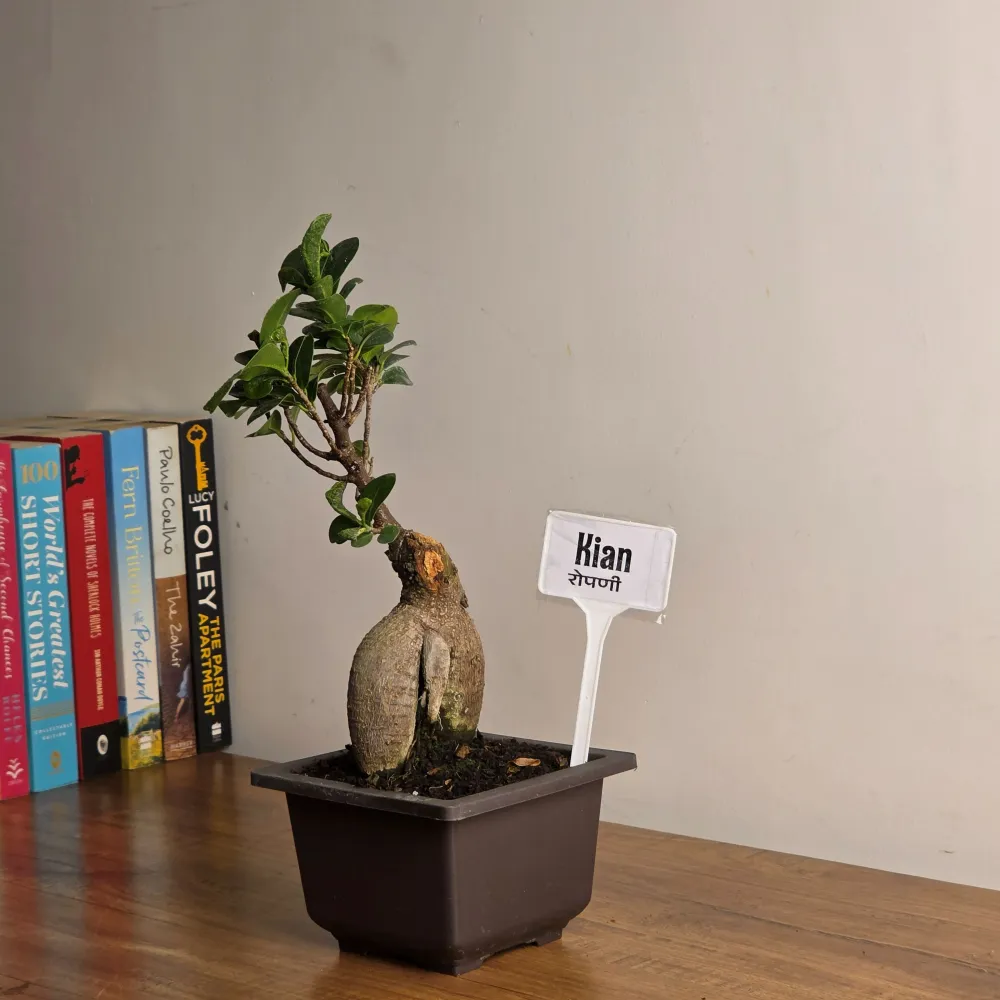 product-gallery