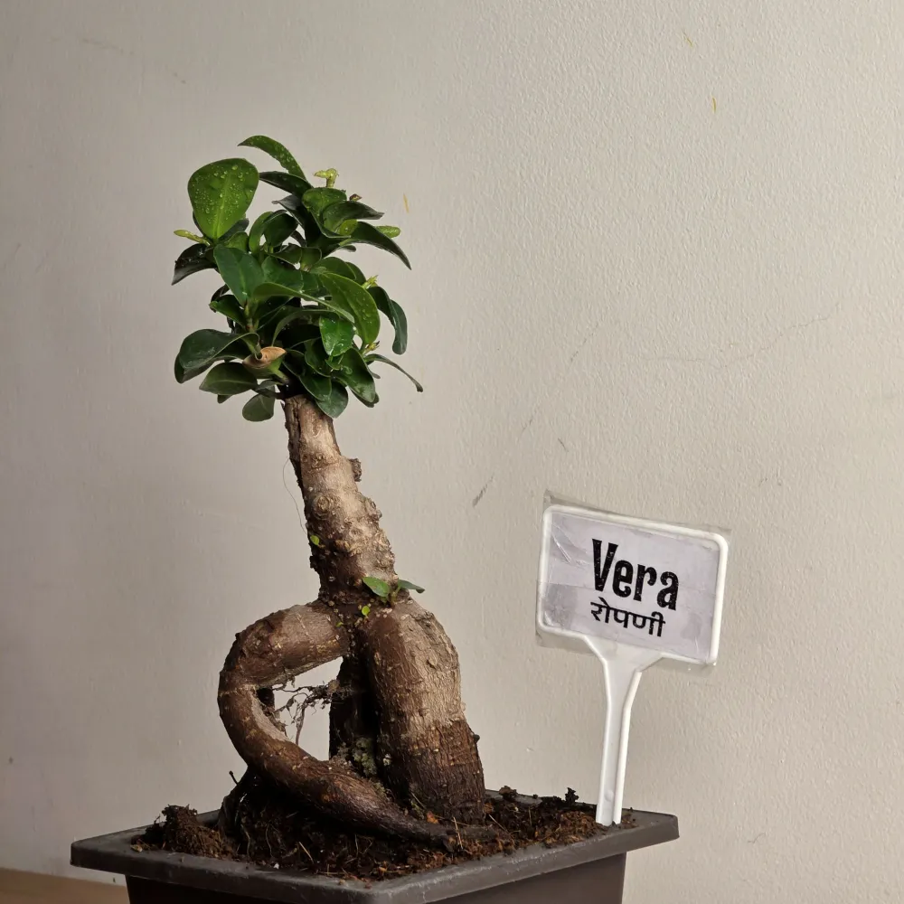 product-gallery