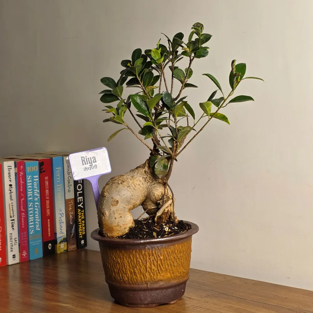 product-gallery