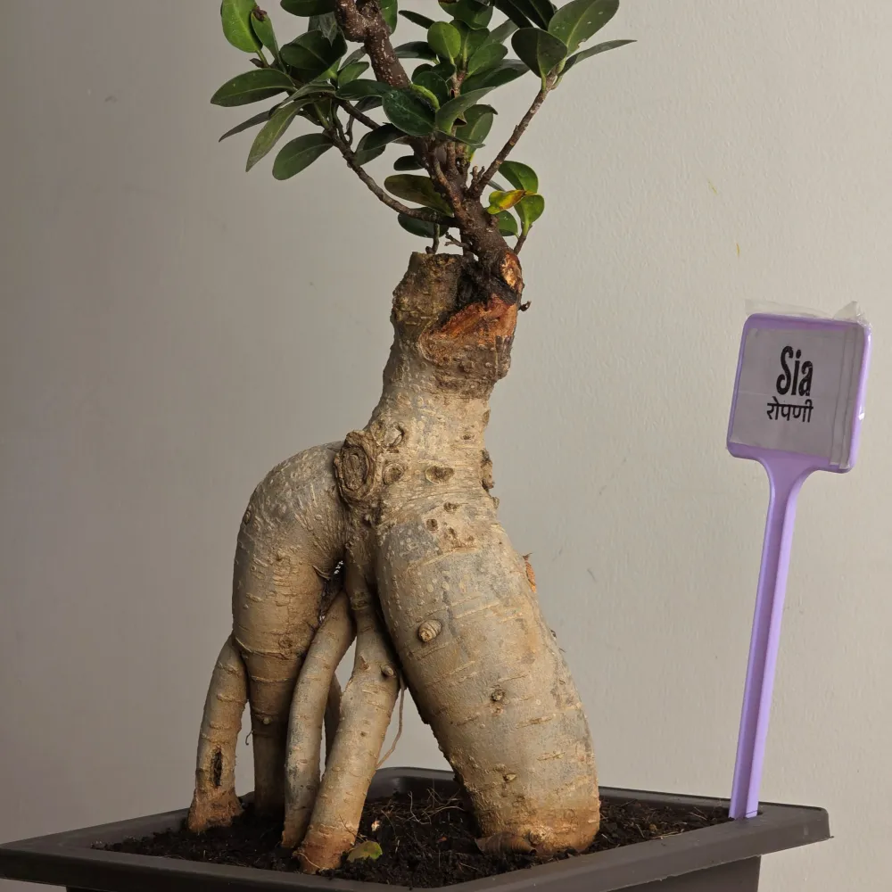 product-gallery
