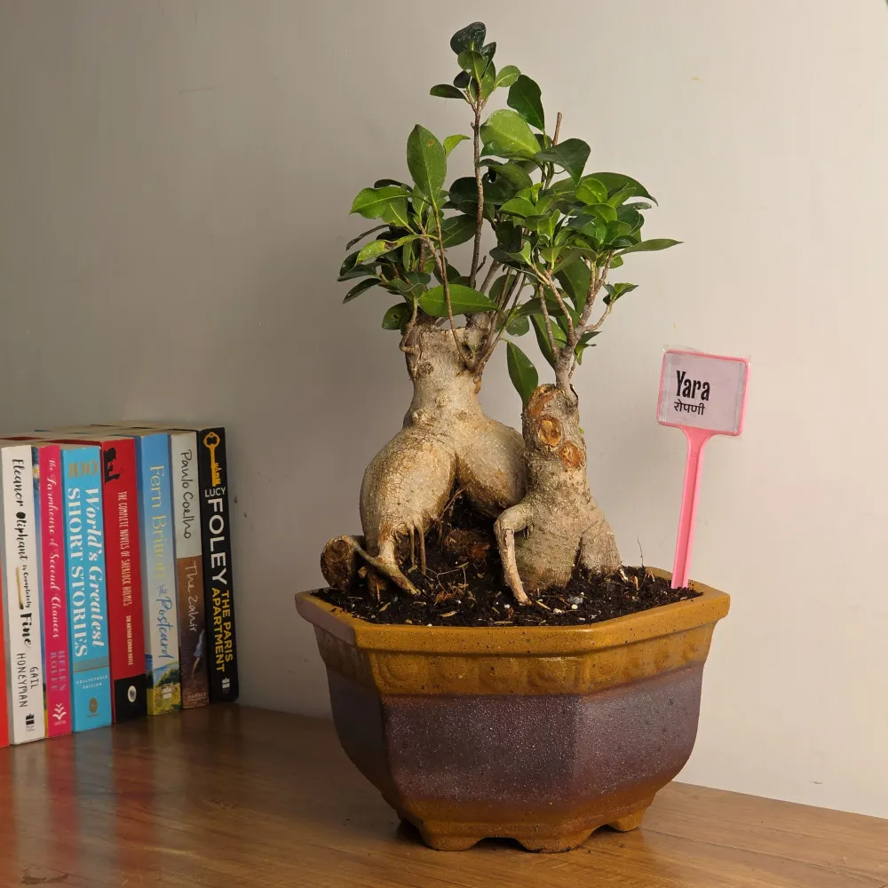 product-gallery
