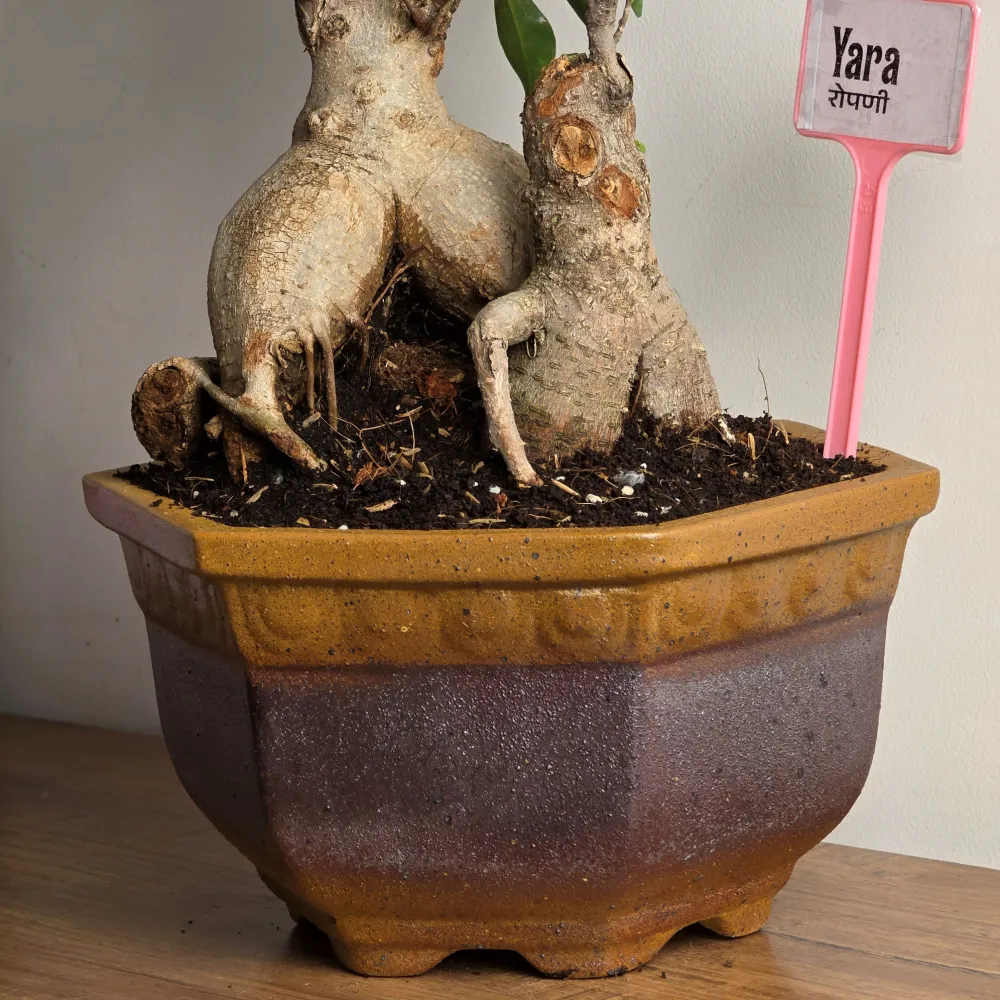 product-gallery
