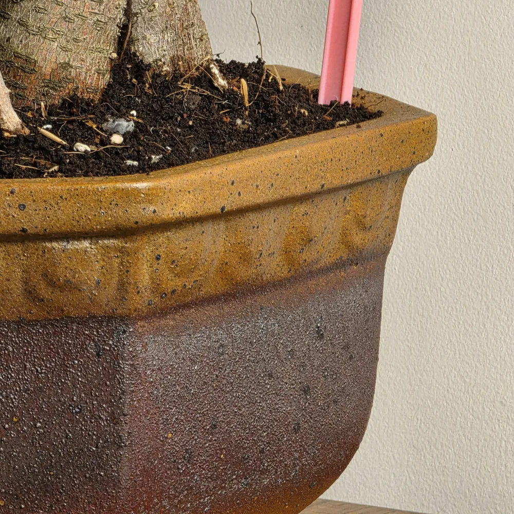 product-gallery