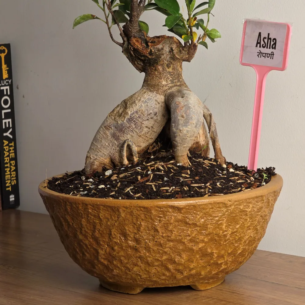 product-gallery