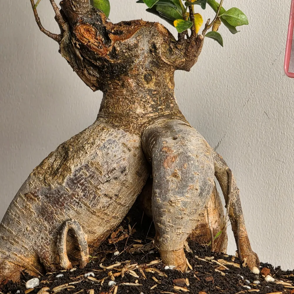 product-gallery