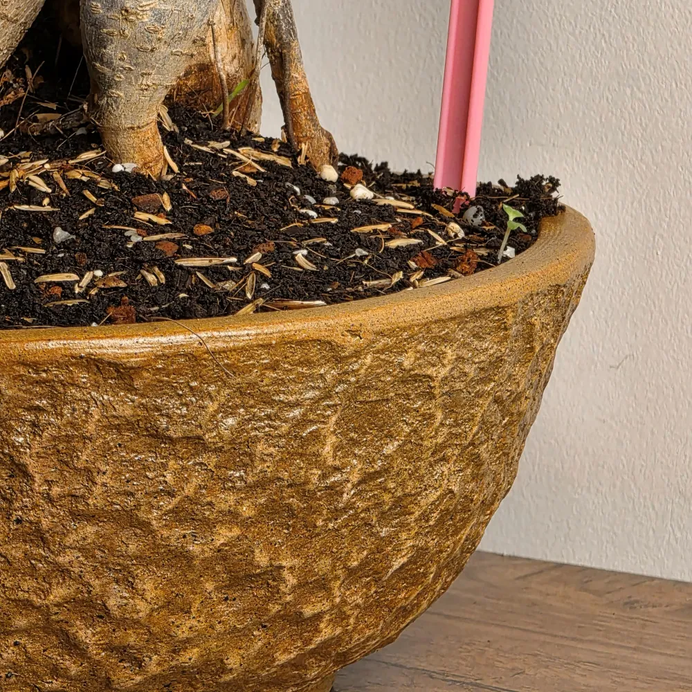 product-gallery