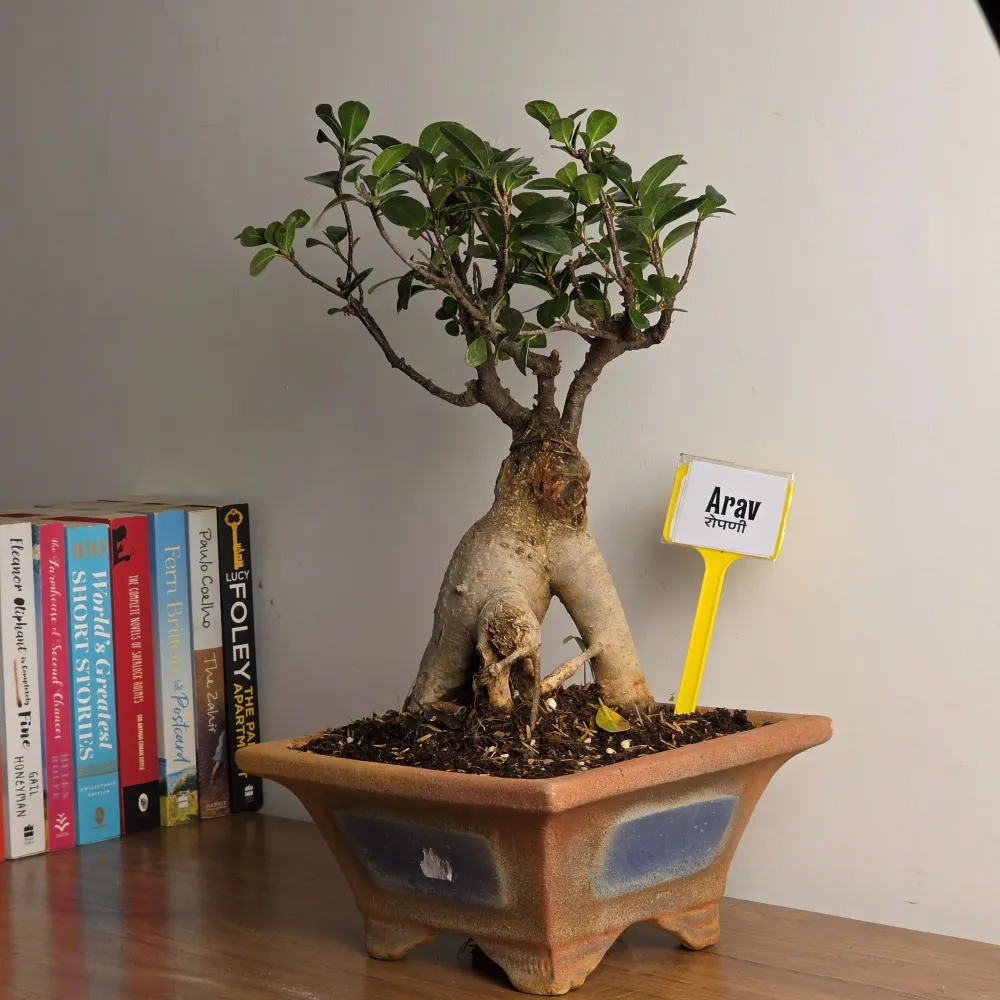 product-gallery