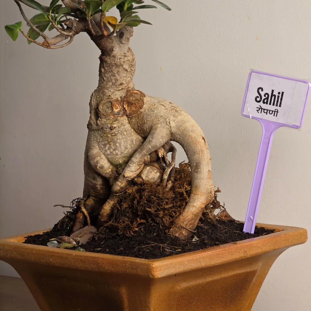 product-gallery