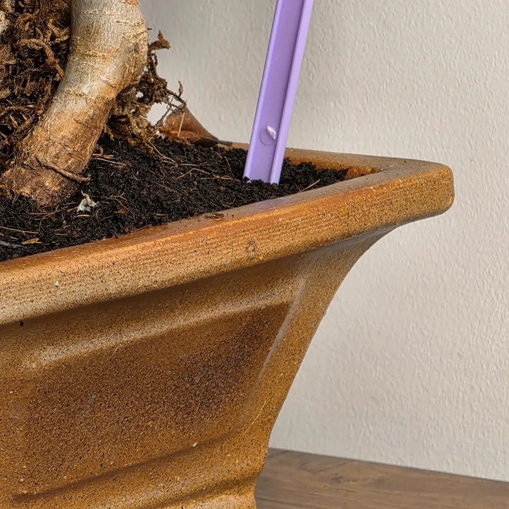 product-gallery