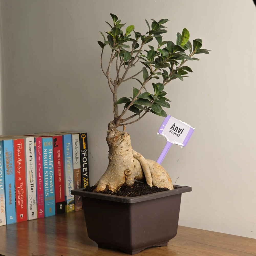 product-gallery