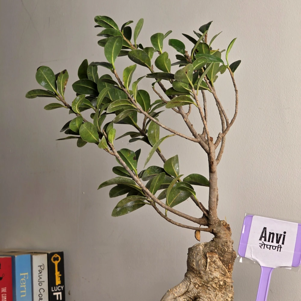 product-gallery
