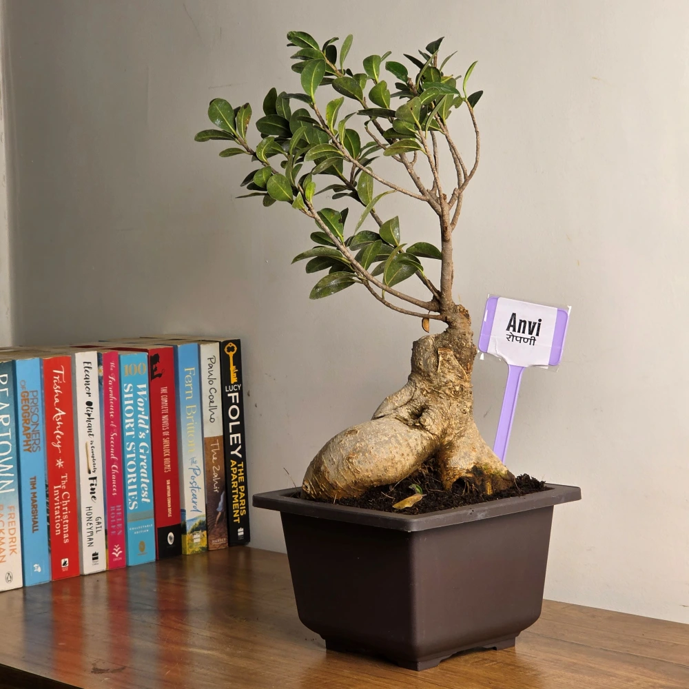 product-gallery