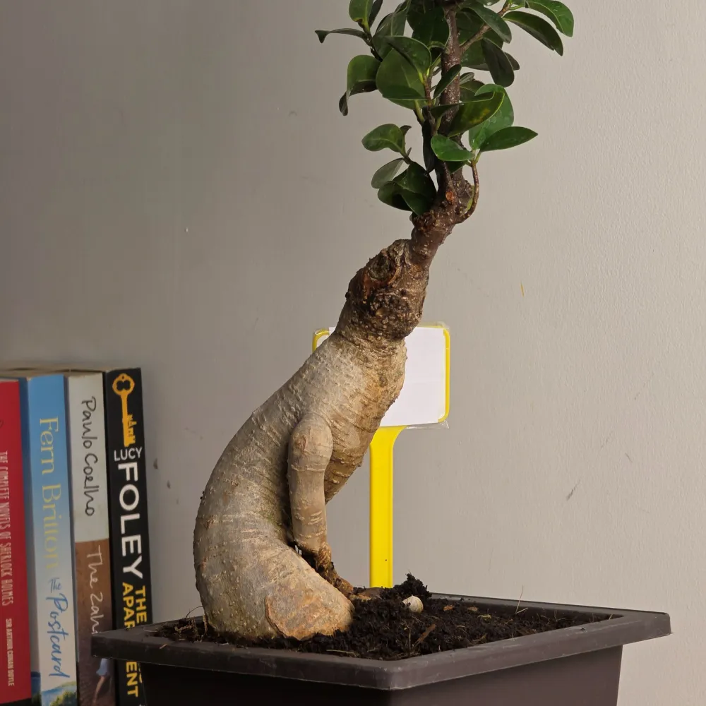 product-gallery