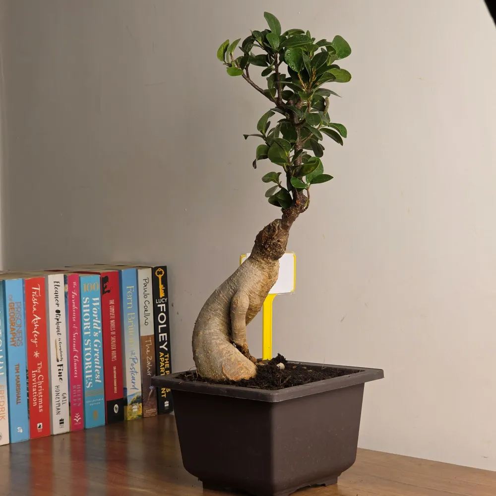 product-gallery