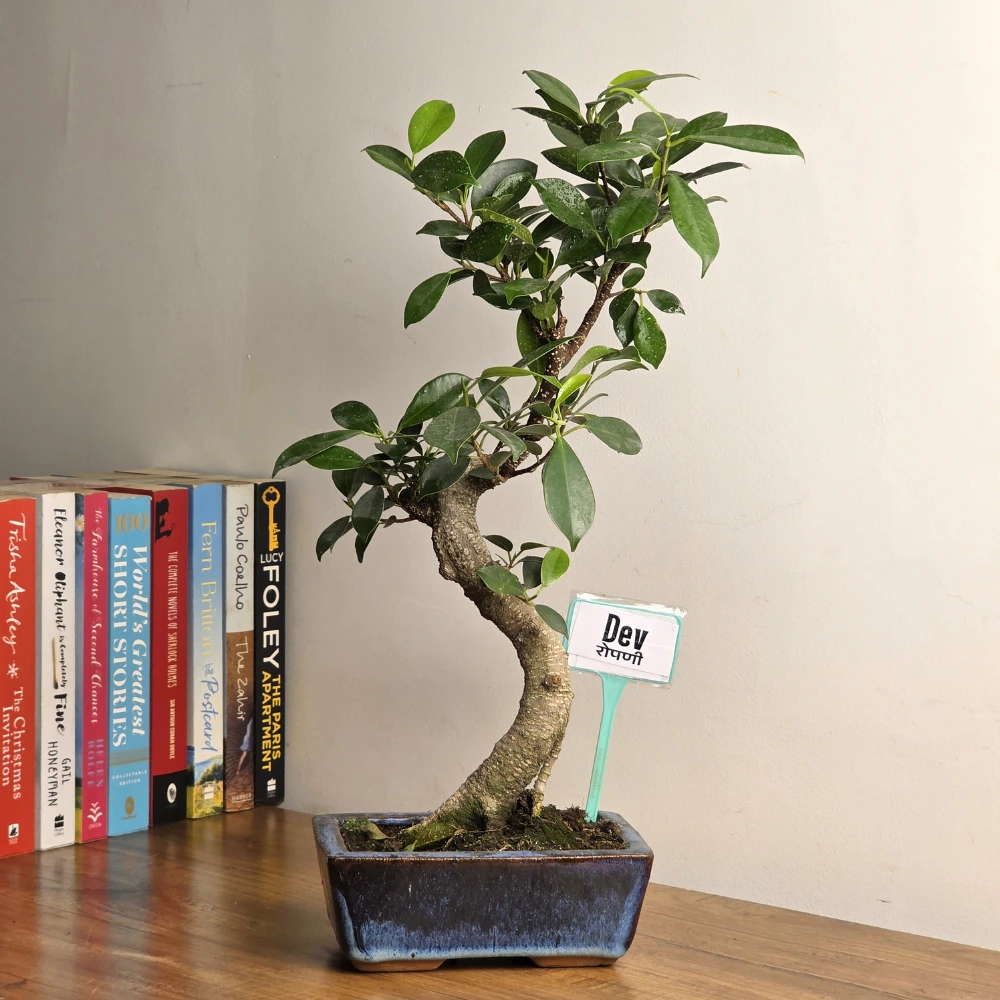 product-gallery