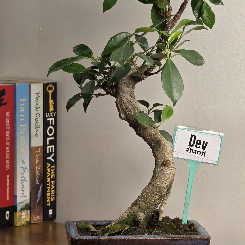 product-gallery