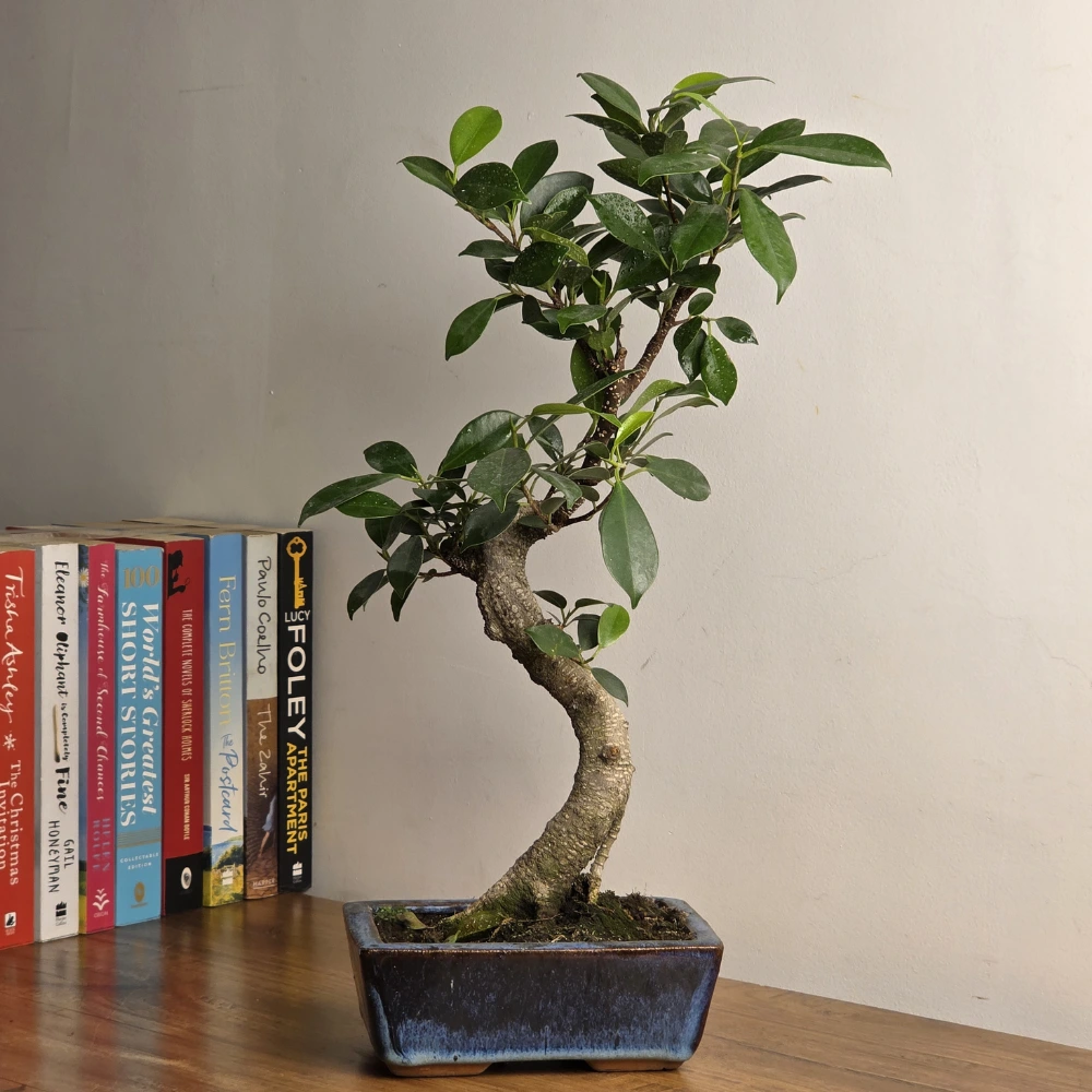 product-gallery