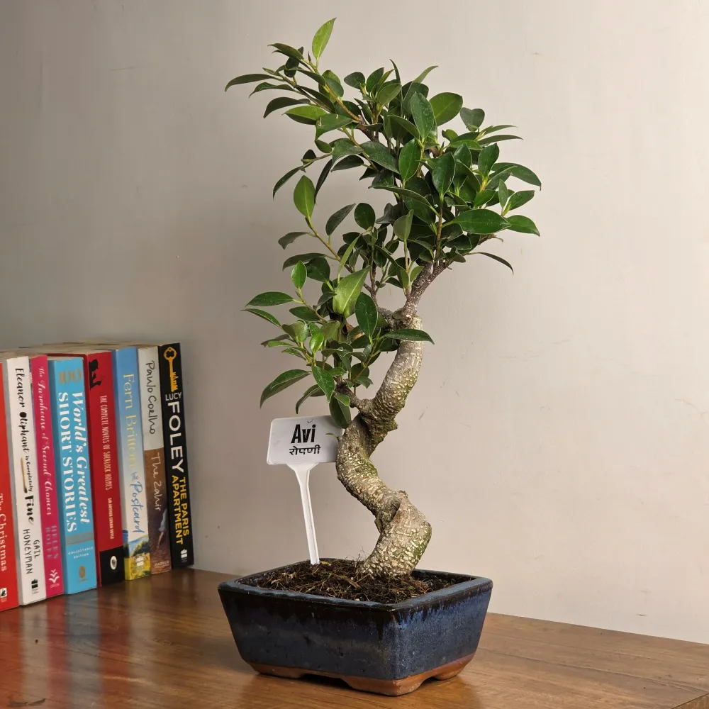 product-gallery