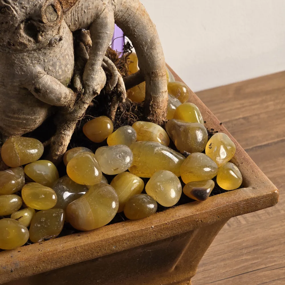 product-gallery