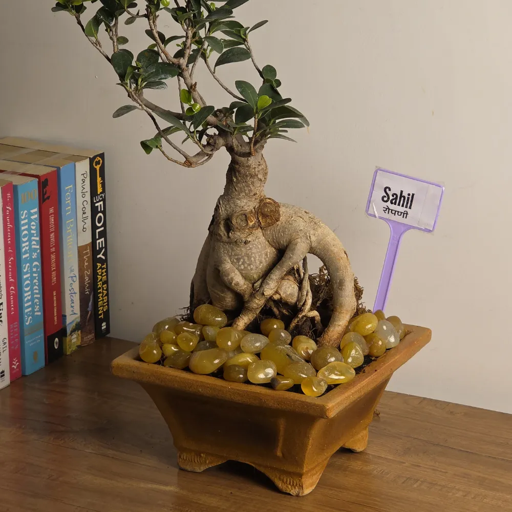 product-gallery