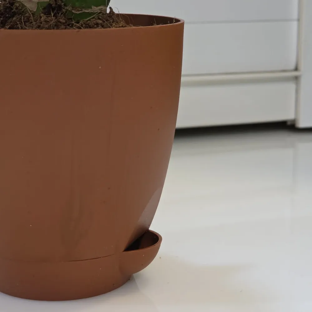 product-gallery