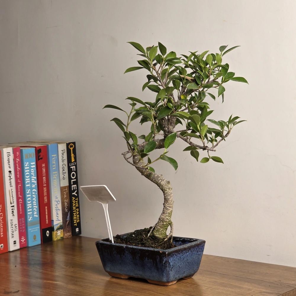 product-gallery