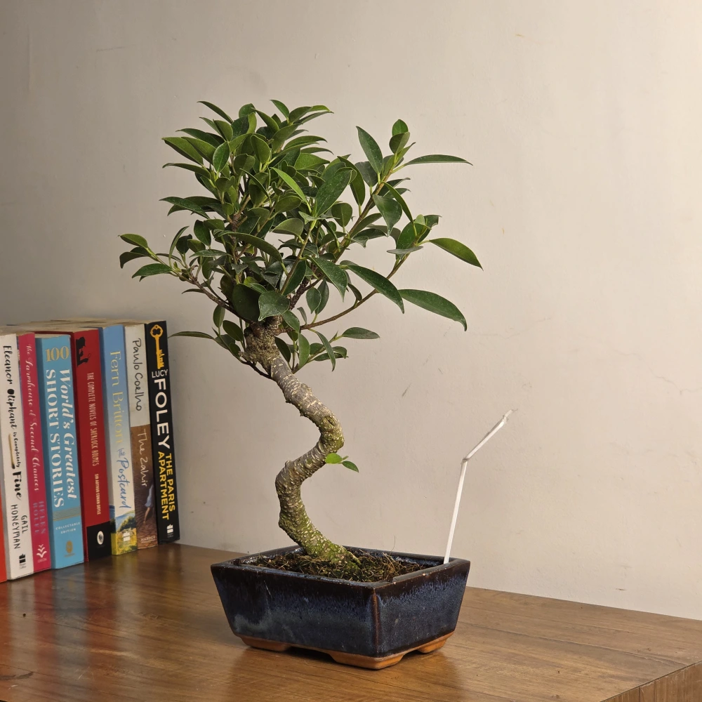 product-gallery