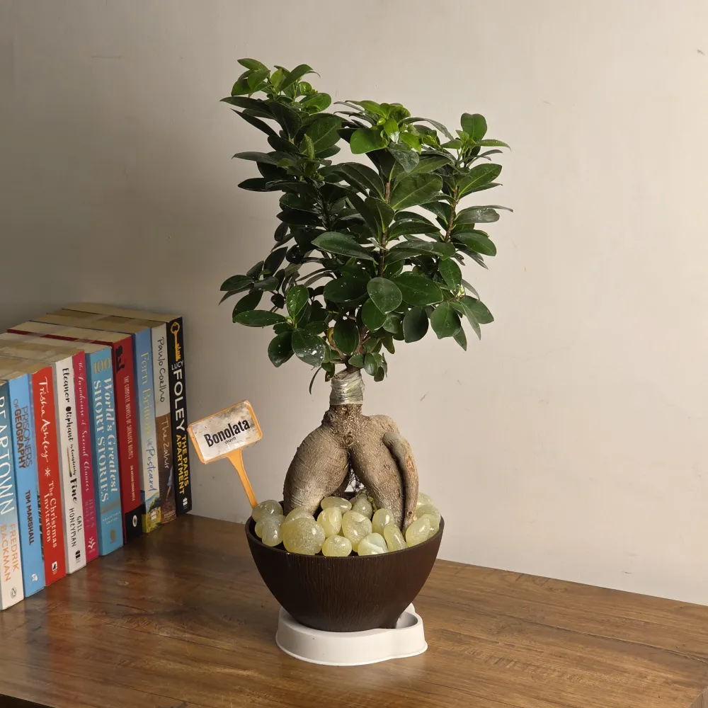 product-gallery