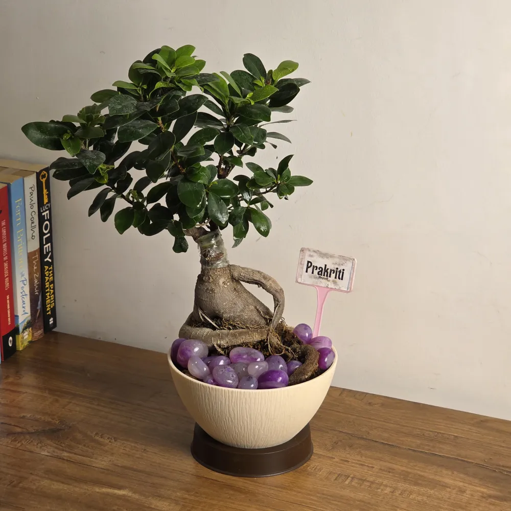 product-gallery