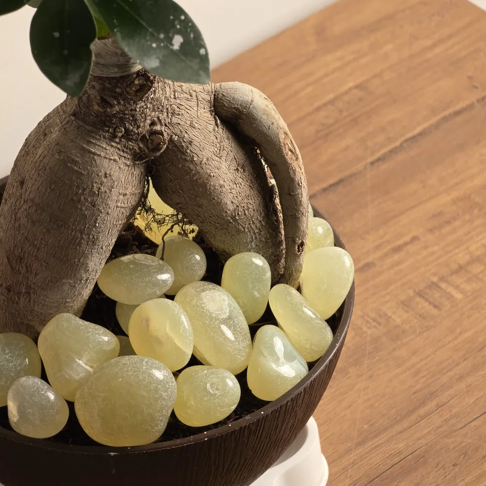 product-gallery