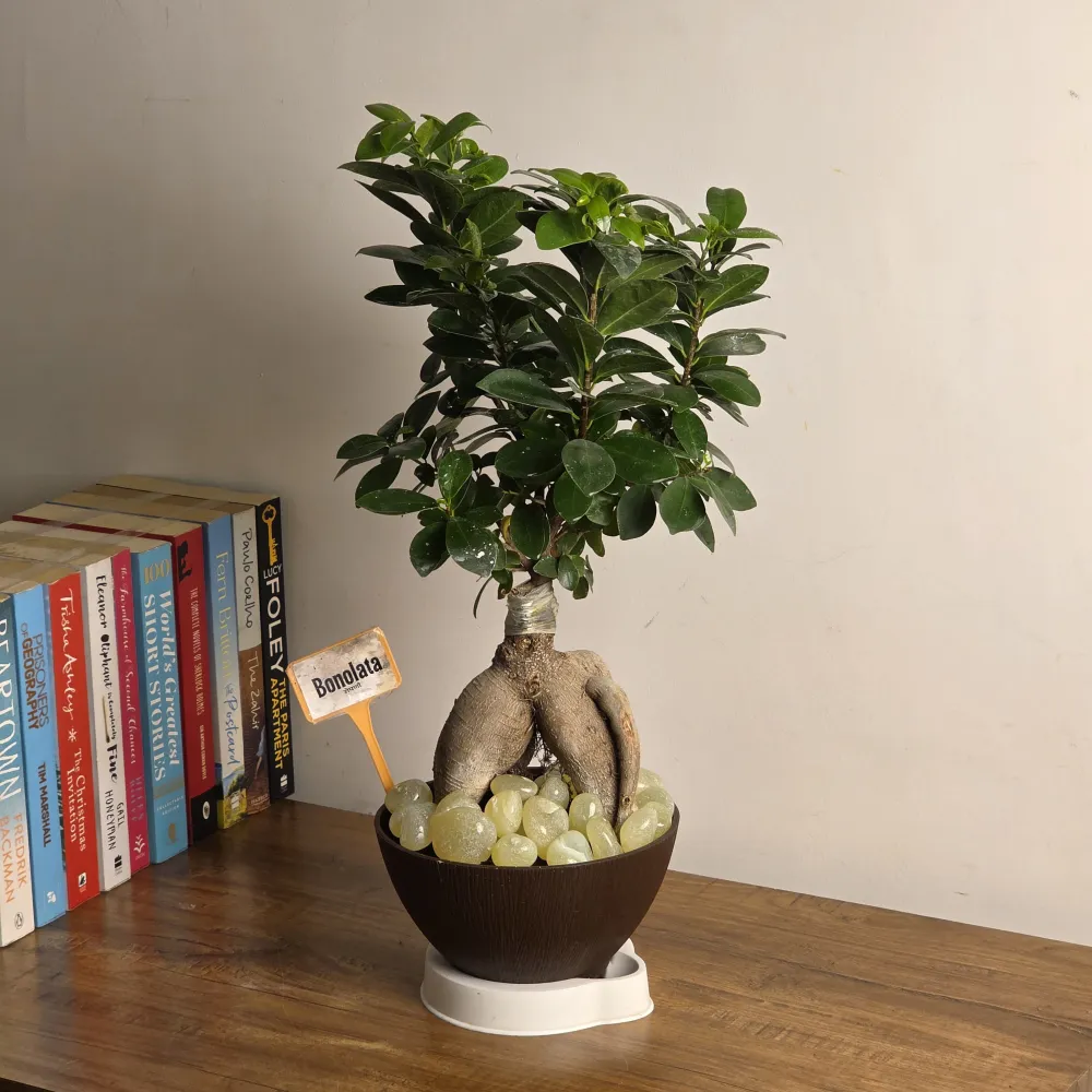 product-gallery