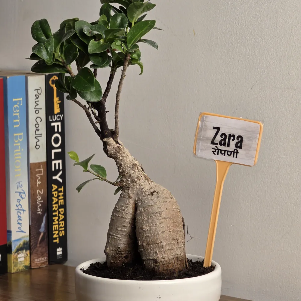 product-gallery