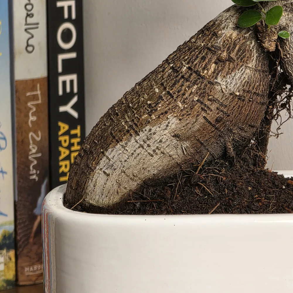product-gallery