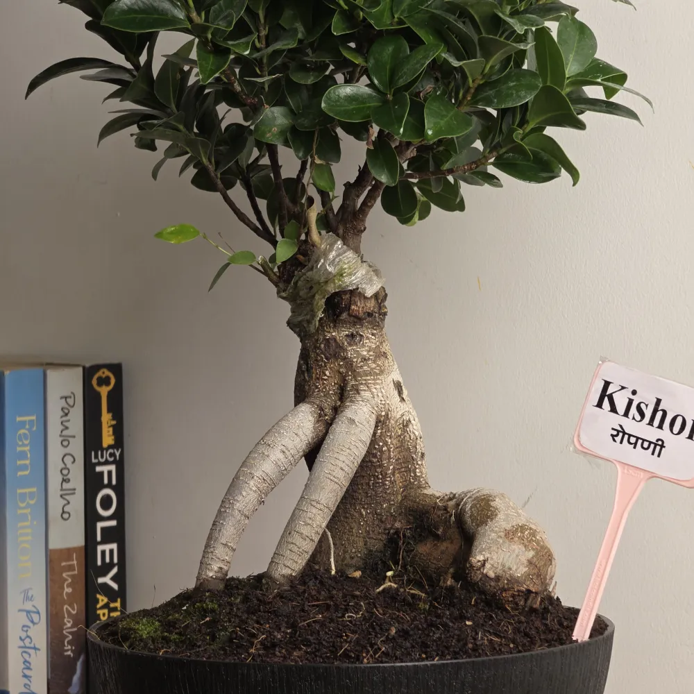 product-gallery