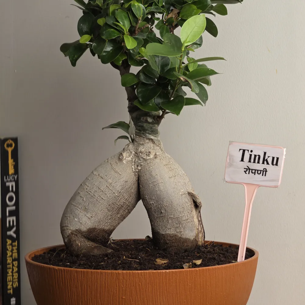 product-gallery