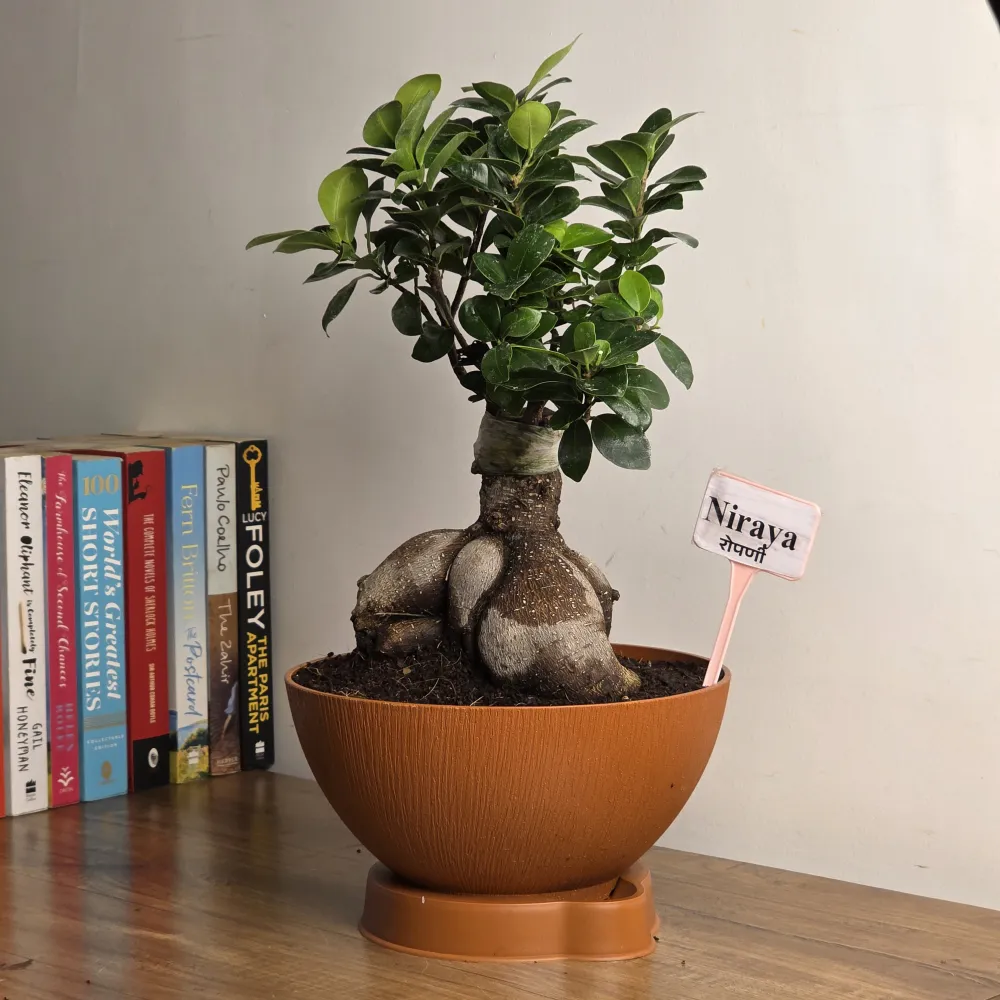 product-gallery