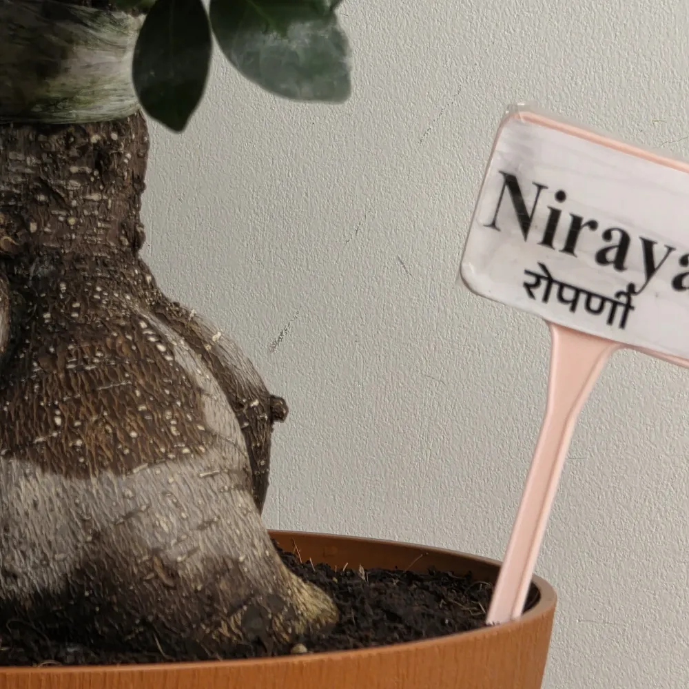 product-gallery
