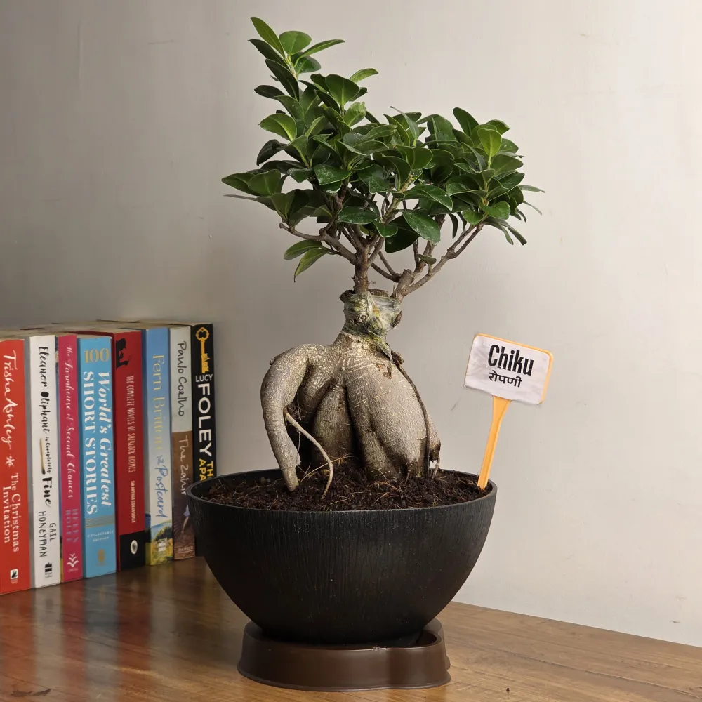product-gallery